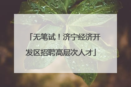 无笔试！济宁经济开发区招聘高层次人才